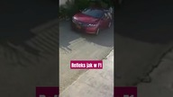 Gdyby nie jego refleks źle by się to skończyło!