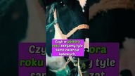 Ile zwierząt zabijamy każdego roku?
