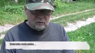 Stokrotka rosła polna - Adolf Kudliński