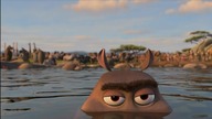 Moto moto  | scena Madagaskar 2