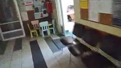 matki z psychiatrkami psycholożki mops i sędzia rodzinne kra.  dną dzieci w Cieszynie!