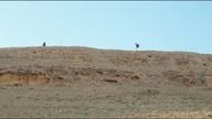 Kilo 2 Bravo (2014r) Kajaki