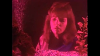 Parker Lewis nigdy nie przegrywa. S01E17. Splendor w klasie