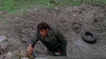 Ucieczka gangstera.  (1972) lektor