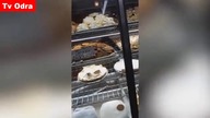 LiveLeak - Woman captures video of a rat scurrying around bakery display
