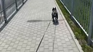 Spacerkiem po okolicy.
