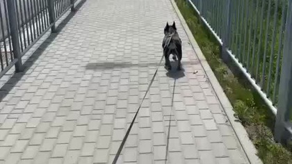 Spacerkiem po okolicy.