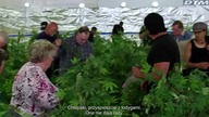 Chłopaki Z Barak&oacute;w S11E07 Napisy PL 720p