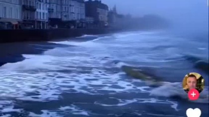 Mądra kobieta buduje dom