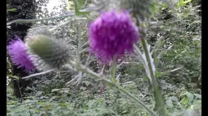 BiSTRO Electrique.  JuTubki.  (Muzyczny).  MiKE.  ^