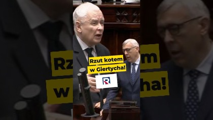 Rzut kotem w Giertycha! #JarkuSiadaj #kaczyński #republikatv