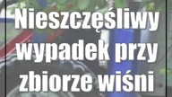 Nieszczęśliwy wypadek przy zbiorze wiśni