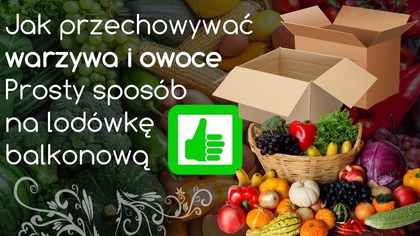 Jak przechowywać warzywa i owoce - zrób lodówkę na balkon