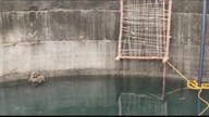 LiveLeak - Drowning leopard climbs out of irrigation well using ladder