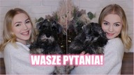 Q&A O PSIE  | Nauka czystości, obowiązki, koszty, moje porady i sposoby 