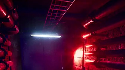 Hyhy, no beka | #martincaine #Twitch