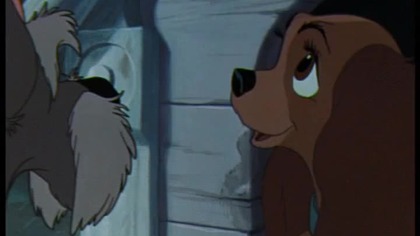 Zakochany kundel (1955) PL