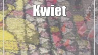 Kwietny dywan u św.  Kingi