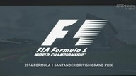 GP Wielkiej Brytanii 2014