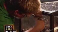 Fear Factor S05E19 Couples Fear Factor II (4)