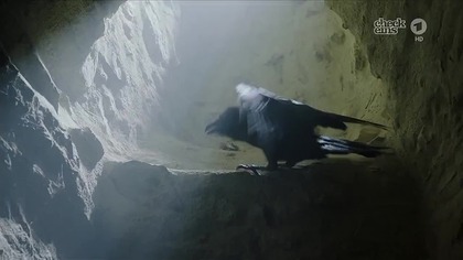 Błękitny Książę i wróżka Lupina (2016) Lektor