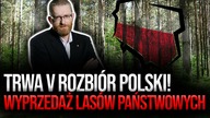 Trwa V ROZBIÓR POLSKI! Wyprzedaż Lasów Państwowych