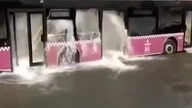 Jak dobrze umyć autobus?