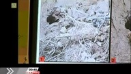 Nie zależy wam na prawdzie  Dokument / PL480p