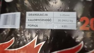 Były górnik demaskuje prawdziwe przyczyny braku węgla.  Obejrzyj do końca