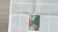 Korona Polska - całkiem ciekawa gazeta (periodyk) polskiego środowiska monarchistycznego.