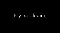 Psy na Ukrainę