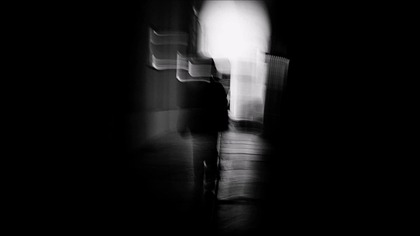 SheUsedToBeHuman - No Talk