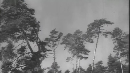 Szkice węglem (1956)