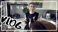 VLOG: GABINET SKOŃCZONY I NATURALNE WYDOBYWANIE SKRĘTU CDN