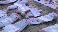 Dość przelewu krwi! Kraków solidarny z Palestyną! Kraków, 25. 11. 2023