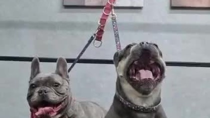 Coś będzie , jak już.