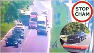 Pirat w Audi jechał na czołówkę, pod prąd i uciekał przed Policją #1495 Wasze Filmy