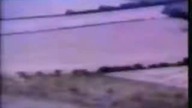 Crop Circles