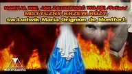 MARYJA WIE, JAK ZATRZYMAĆ WOJNĘ/Putina/ - MISTYCZNY KRZEW RÓŻY -św. Ludwik Maria Grignion de Montfort