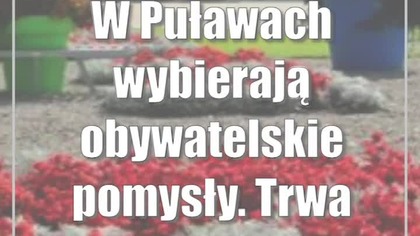 W Puławach wybierają obywatelskie pomysły.  Trwa głosowanie