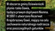 Gmina Dziewieniszki.  Rezerwat przyrody.  Rzeka Gawia.  Dieveniškės.  Gaujos kraštovaizdio draustini