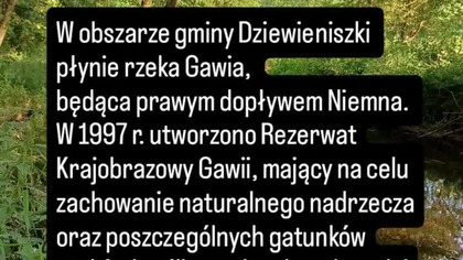 #gminadziewieniszki #dieveniškės #dieveniskes #dziewieniszki #miasteckzodziewieniszki #gminadziewieniszki  #kultura #wileńszczyzna #polacynalitwie #powiatoszmiański #oszmiańszczyzna  #polacy #litwa #lietuva #litwini #polska #historia #gminadziewiniska #dieveniškių #dieveniškiųkraštas #history #historical #historicalfacts #historicalplaces #istorija #rzeczpospolita #parkregionalny #regionalpark #region #park #historicalpark #rzeka #rzeczka #river #kajaki #kajakowanie #rivière #fluss #naturereserve #naturereserves #Naturschutzgebiet #reservanatural #Réservenaturelle #rezerwat #krajobraz #krajobrazy #rezerwatprzyrody

Gaujos kraštovaizdio draustinis

Dieveniškės - Dziewieniszki - Devenishki