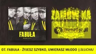 Fabuła - Nieodwracalnie