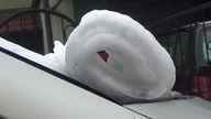 Topniejący śnieg - zwinął się, jak dywan !