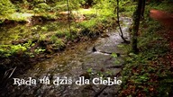 Karta z Radą dla Ciebie na teraz  Bezczasowe  Wybierz Owoc 