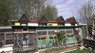 Przylot gołębi u kol.  Leszka Ziemianka - Kamienna Góra, 25. 04. 26 r.