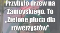 Przybyło drzew na Zamoyskiego.  To Zielone płuca dla rowerzystów