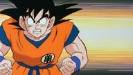 DB Kai 002