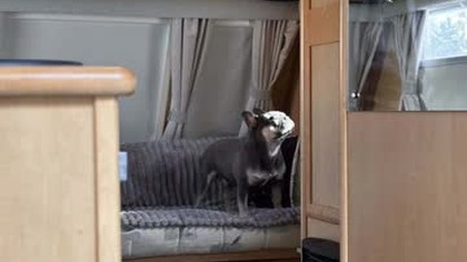 Witam serdecznie, znów w podróży do domu.