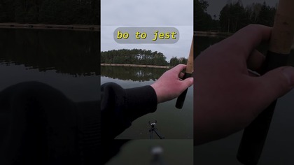 BOMB AND PELLET #method #fishing